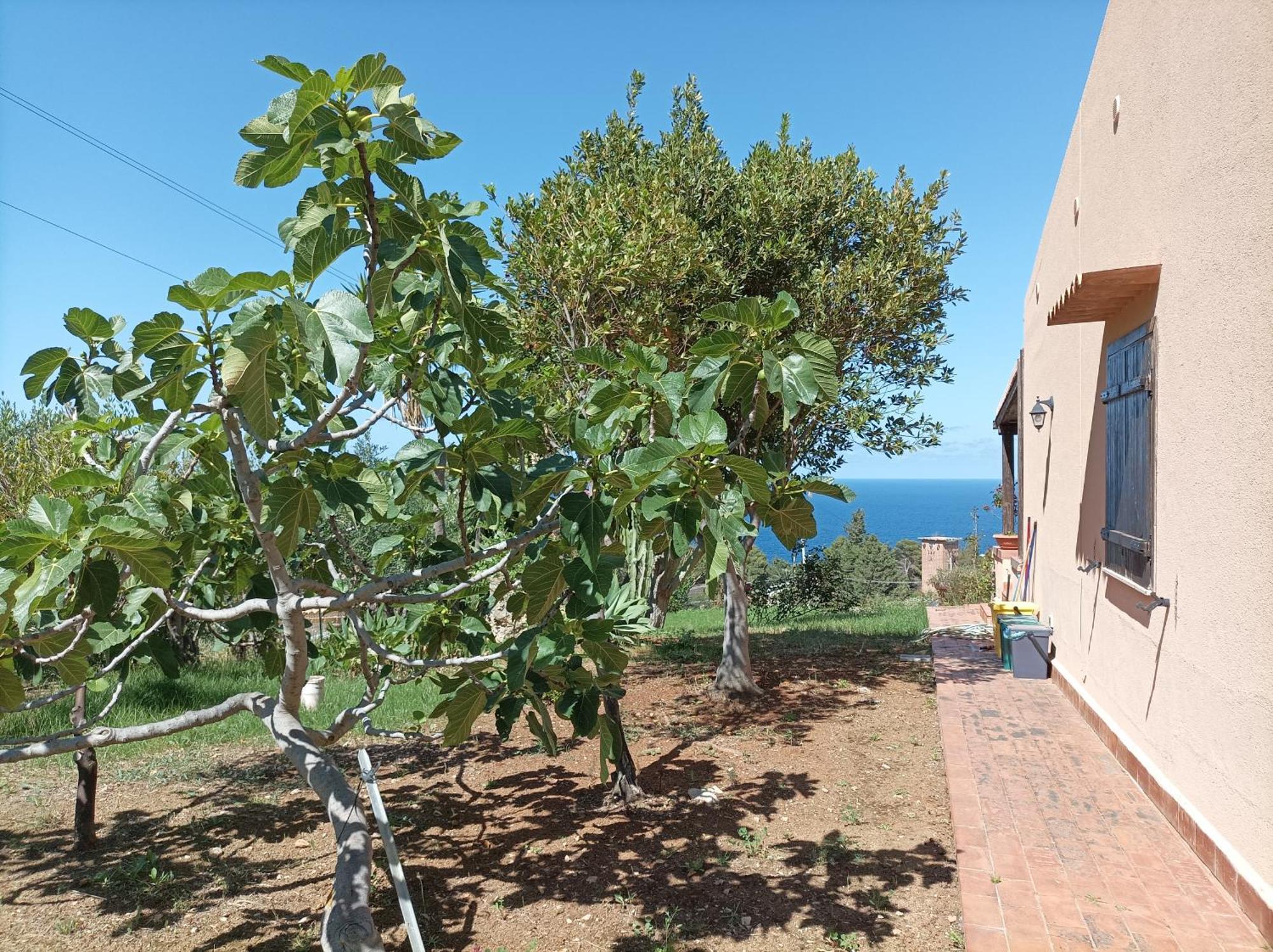 Villa La Terrazza Su Pispisa Castellammare del Golfo Esterno foto